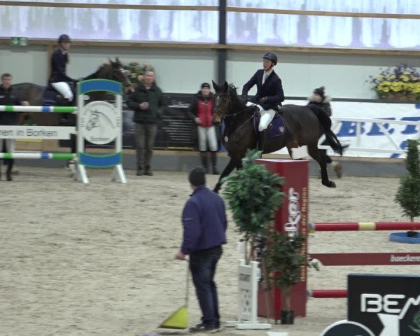 Reitturnier Borken 2023