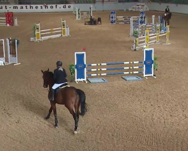 Reitturnier Kreuth 2023
