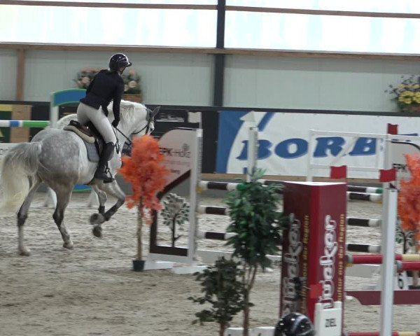 Reitturnier Borken 2023