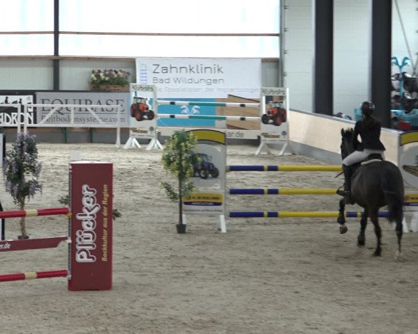 Reitturnier Borken 2023