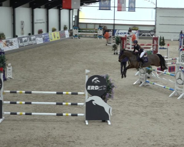 Reitturnier Borken 2023