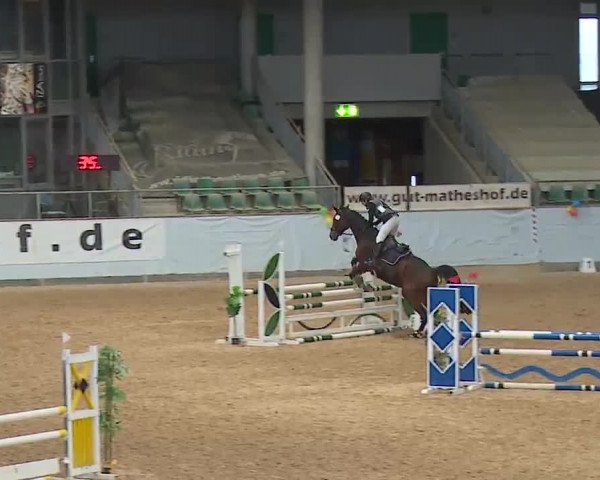 Reitturnier Kreuth 2023