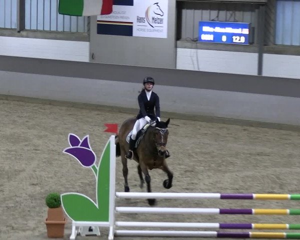 Reitturnier Luhmühlen 2023