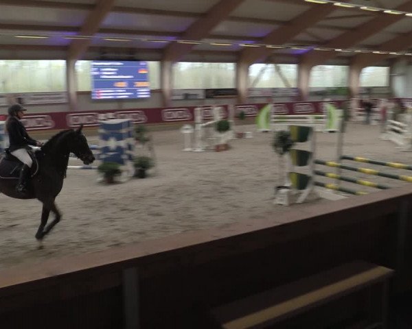 Reitturnier Goch-Asperden 2023