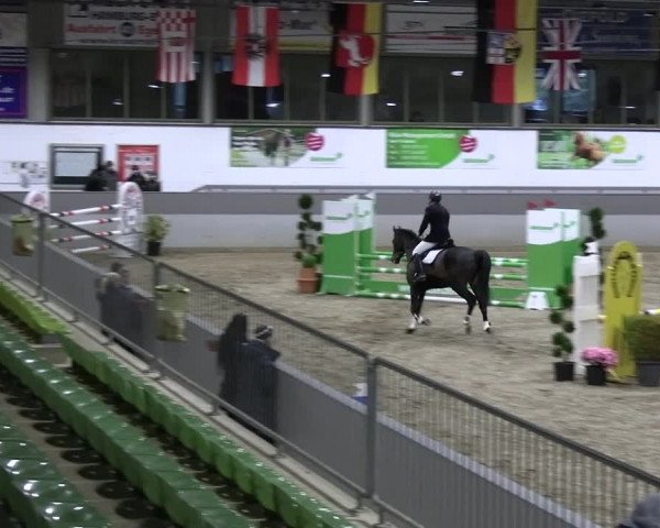 Reitturnier Luhmühlen 2023