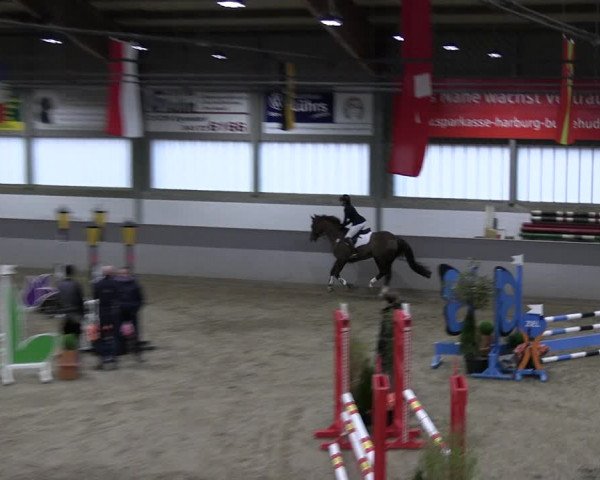 Reitturnier Luhmühlen 2023