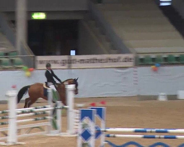 Reitturnier Kreuth 2023