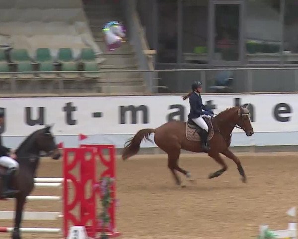 Reitturnier Kreuth 2023