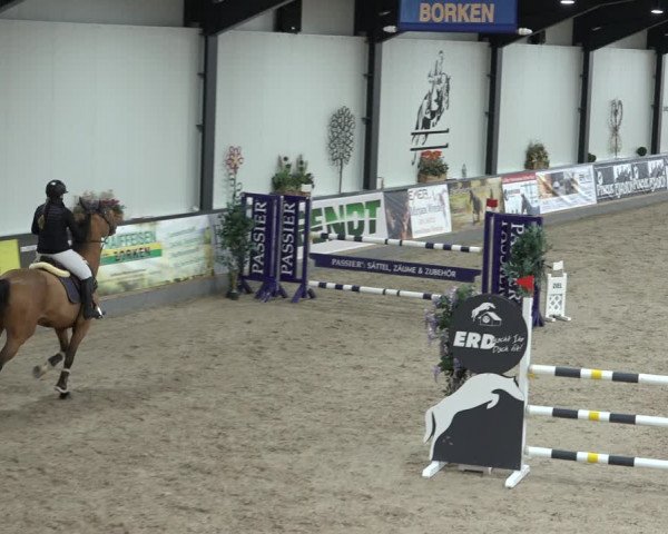 Reitturnier Borken 2023
