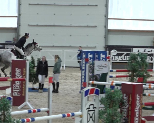 Reitturnier Borken 2023