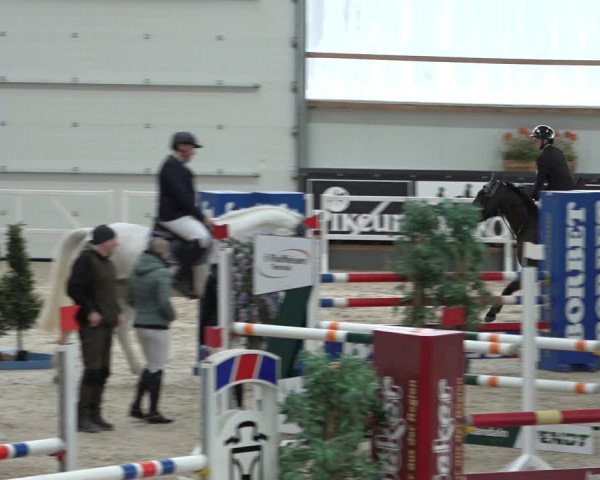Reitturnier Borken 2023