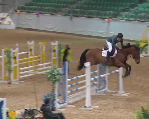 Reitturnier Kreuth 2023