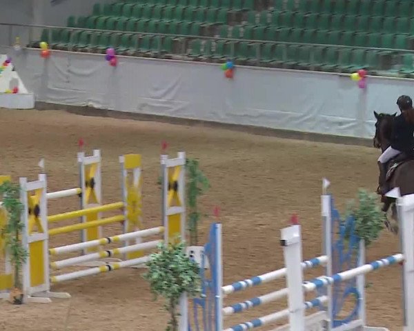 Reitturnier Kreuth 2023