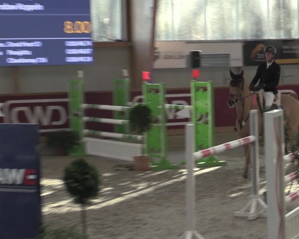 Reitturnier Goch-Asperden 2023