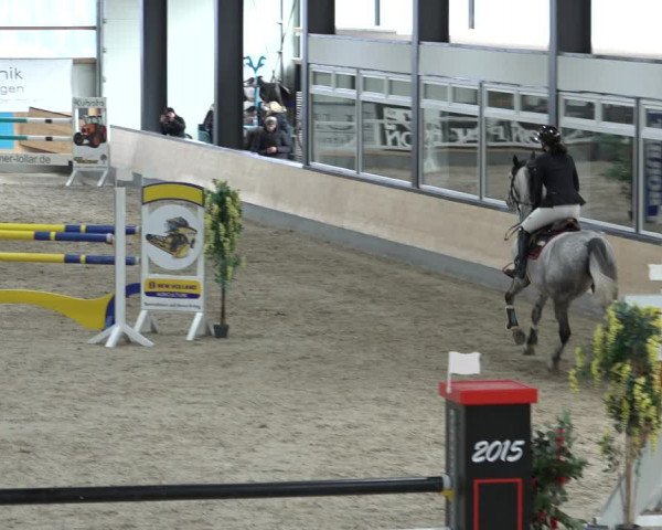 Reitturnier Borken 2023