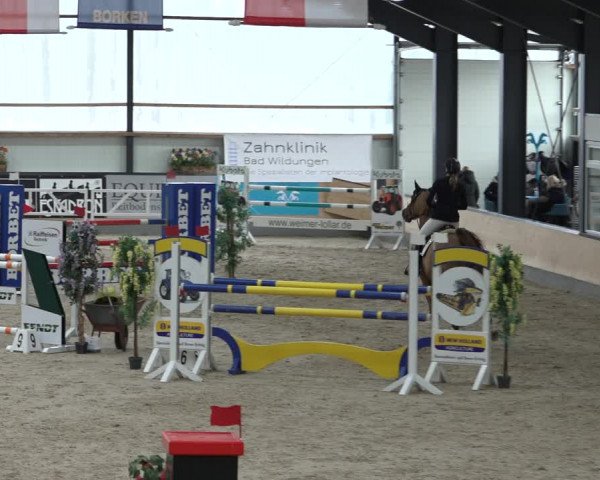 Reitturnier Borken 2023