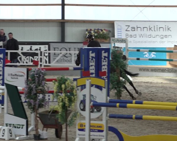 Reitturnier Borken 2023