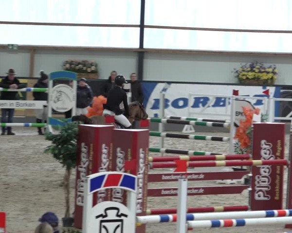 Reitturnier Borken 2023