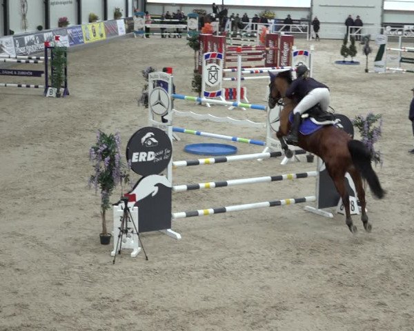 Reitturnier Borken 2023