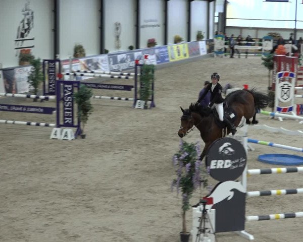 Reitturnier Borken 2023
