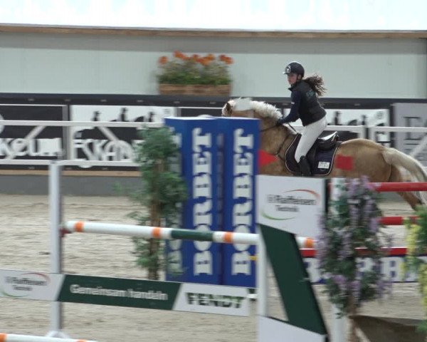 Reitturnier Borken 2023