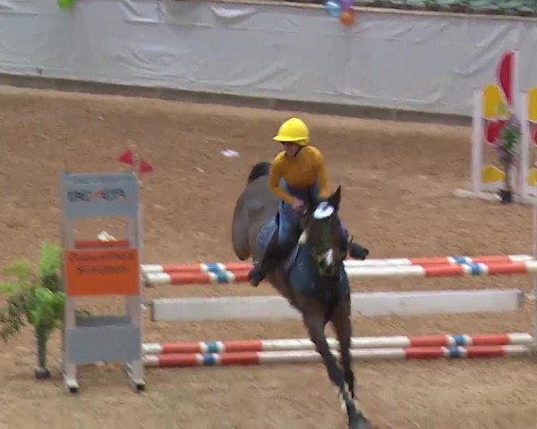 Reitturnier Kreuth 2023