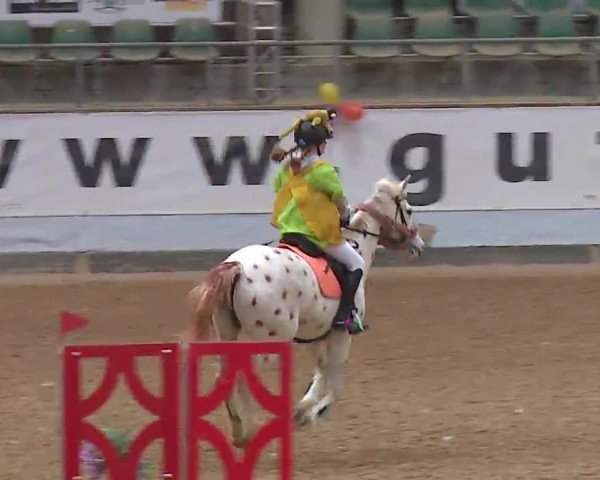 Reitturnier Kreuth 2023