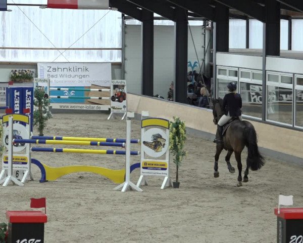 Reitturnier Borken 2023