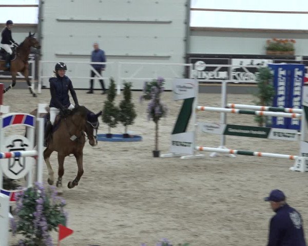 Reitturnier Borken 2023