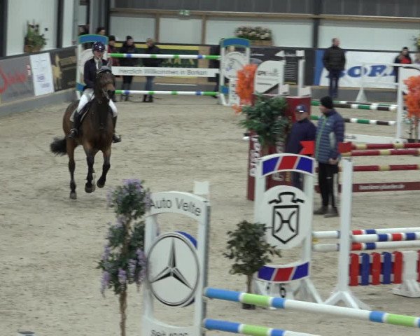 Reitturnier Borken 2023