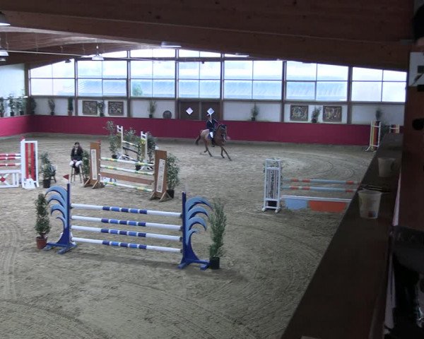 Reitturnier Klein Drehle - Reitanlage König 2023