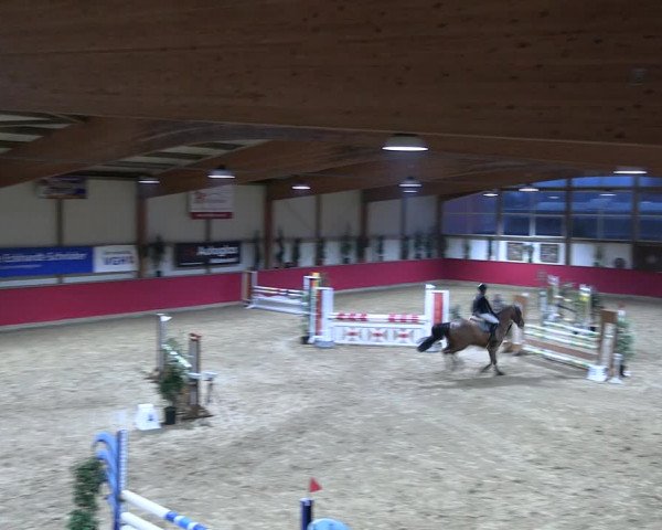 Reitturnier Klein Drehle - Reitanlage König 2023