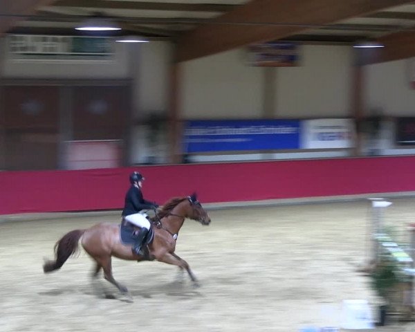 Reitturnier Klein Drehle - Reitanlage König 2023