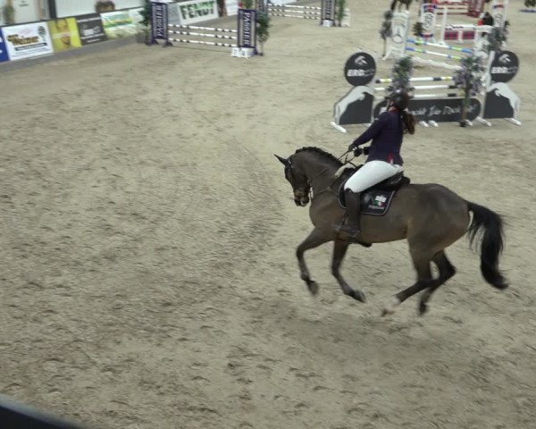Reitturnier Borken 2023