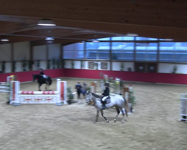Reitturnier Klein Drehle - Reitanlage König 2023