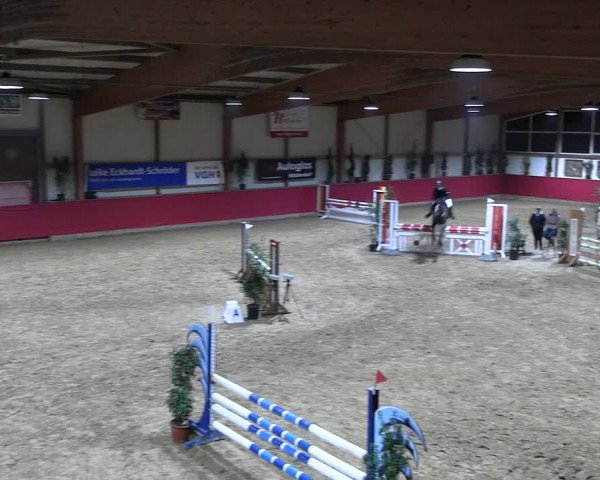 Reitturnier Klein Drehle - Reitanlage König 2023