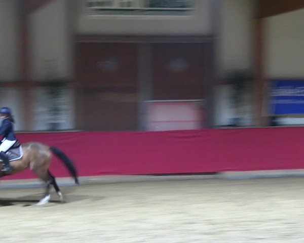 Reitturnier Klein Drehle - Reitanlage König 2023