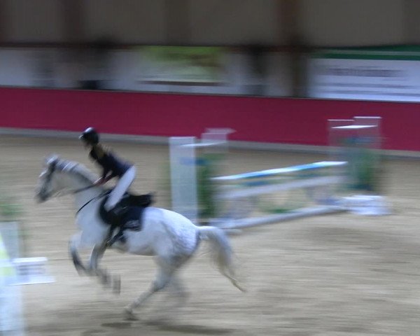 Reitturnier Klein Drehle - Reitanlage König 2023
