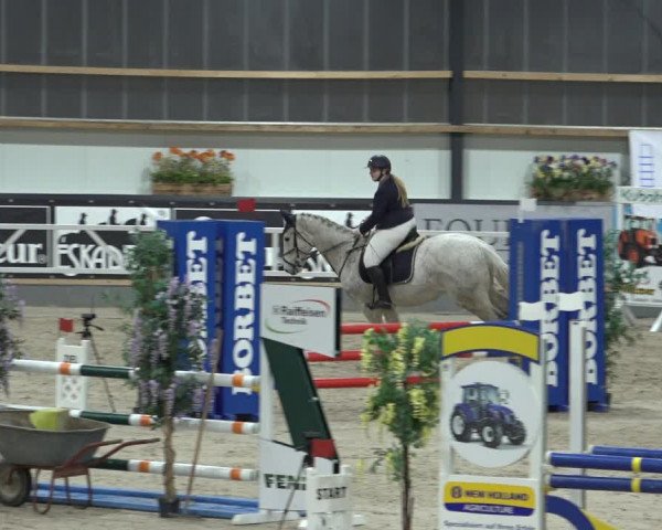 Reitturnier Borken 2023