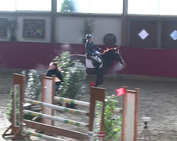 Reitturnier Klein Drehle - Reitanlage König 2023