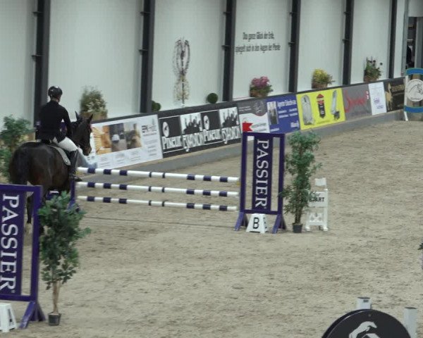 Reitturnier Borken 2023