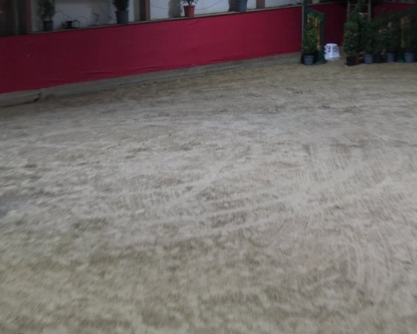 Reitturnier Klein Drehle - Reitanlage König 2023