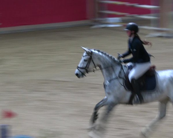 Reitturnier Klein Drehle - Reitanlage König 2023