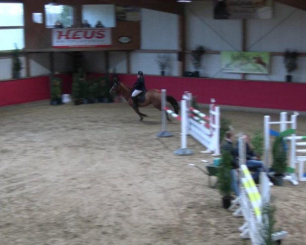 Reitturnier Klein Drehle - Reitanlage König 2023
