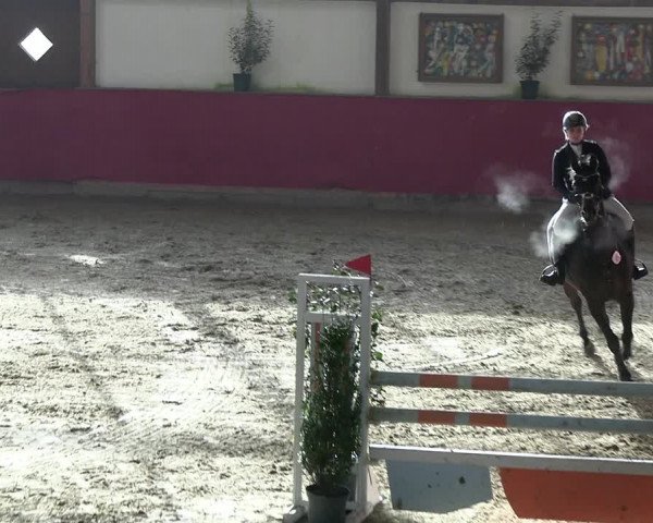 Reitturnier Klein Drehle - Reitanlage König 2023