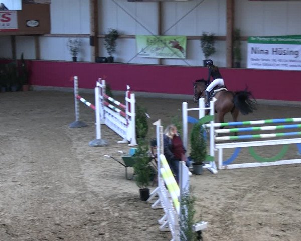Reitturnier Klein Drehle - Reitanlage König 2023