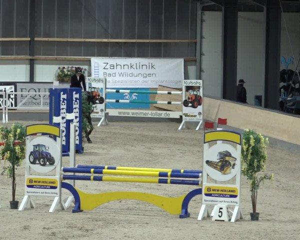 Reitturnier Borken 2023