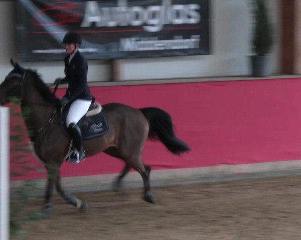 Reitturnier Klein Drehle - Reitanlage König 2023