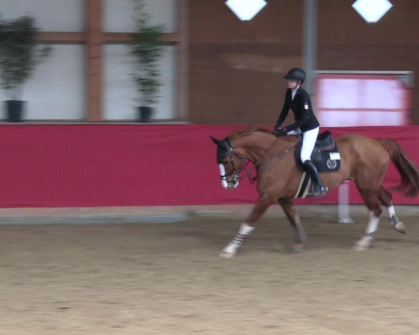 Reitturnier Klein Drehle - Reitanlage König 2023
