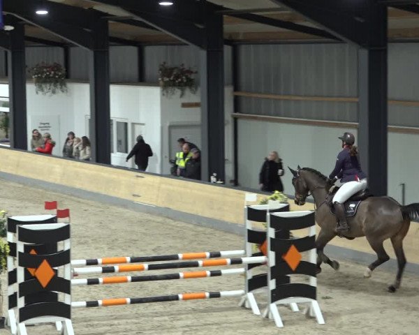 Reitturnier Borken 2023